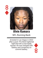 Celebrity Mugshots: Fame Meets Shame Collector Edition Playing Cards