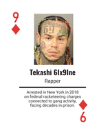 Celebrity Mugshots: Fame Meets Shame Collector Edition Playing Cards