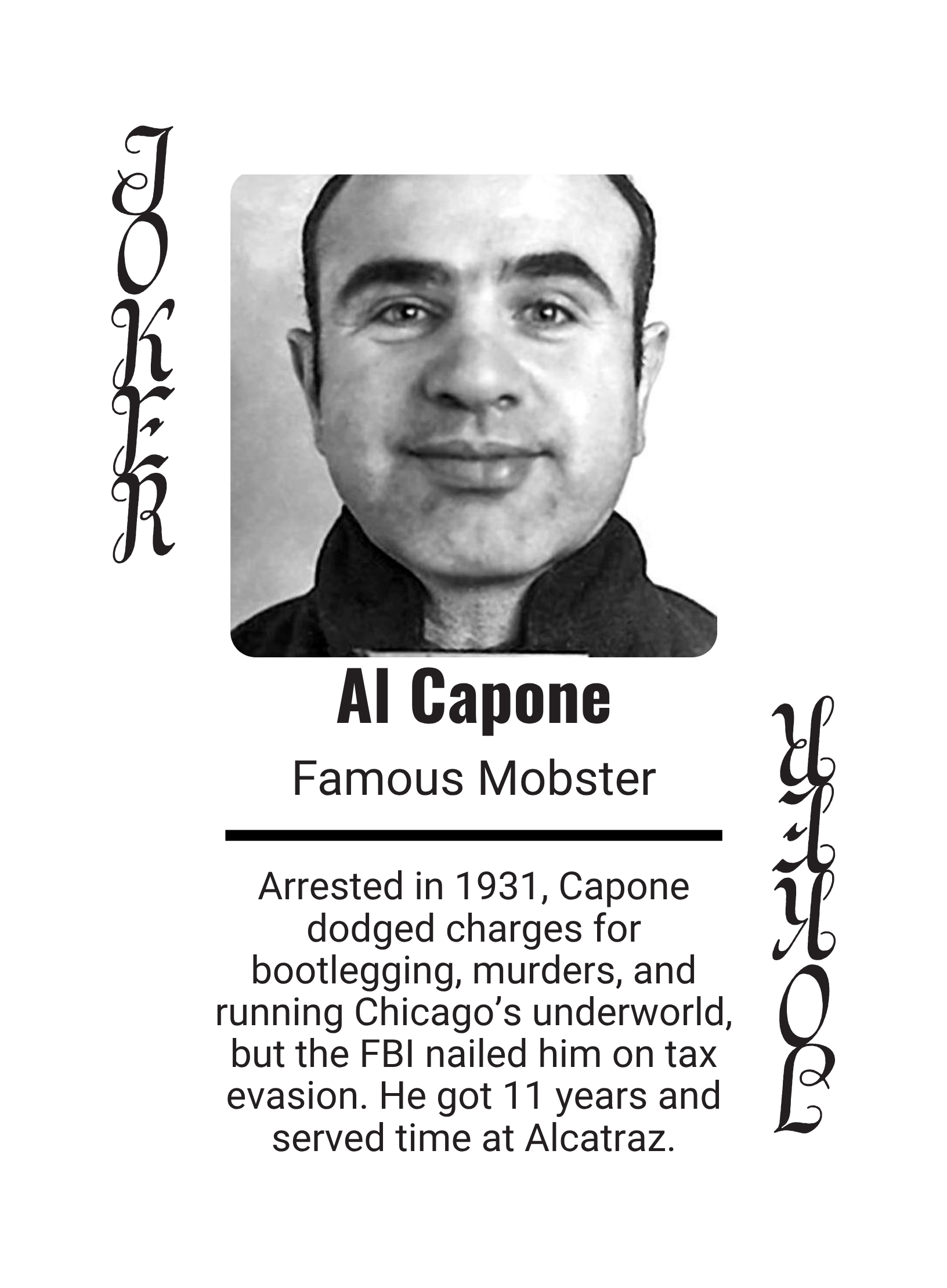 Celebrity Mugshots: Fame Meets Shame Collector Edition Playing Cards