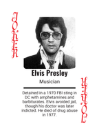 Celebrity Mugshots: Fame Meets Shame Collector Edition Playing Cards