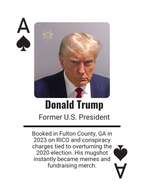 Celebrity Mugshots: Fame Meets Shame Collector Edition Playing Cards