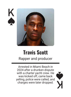 Celebrity Mugshots: Fame Meets Shame Collector Edition Playing Cards